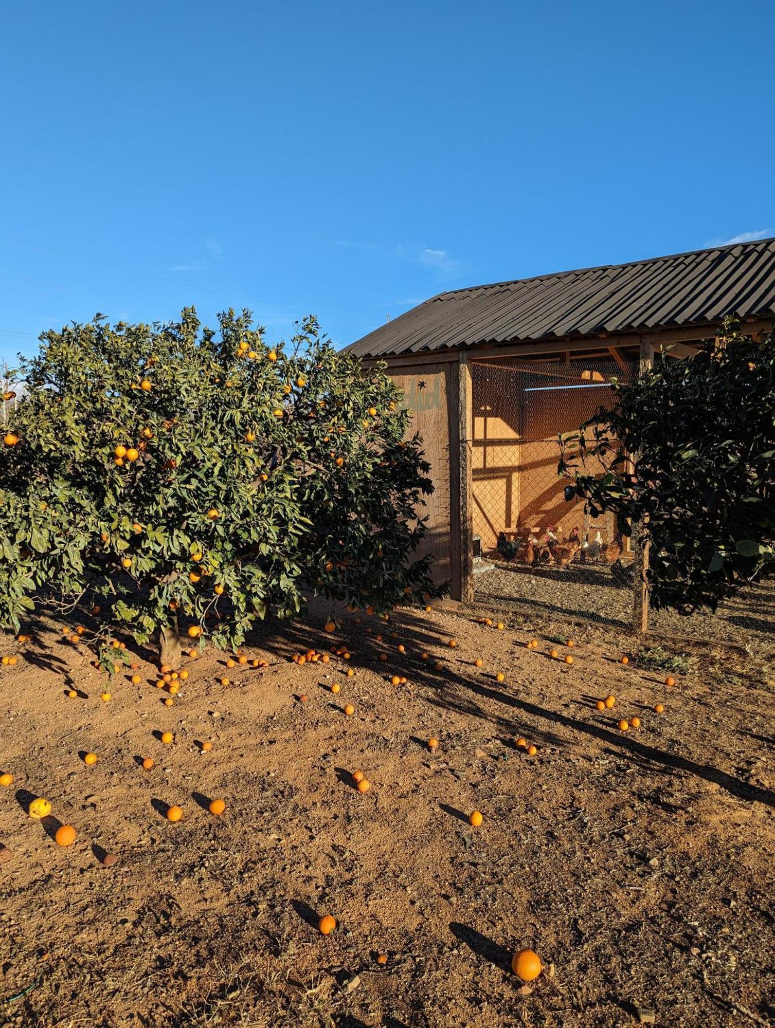 Casa Hostalets - Rural Luxury Riudoms Exterior photo